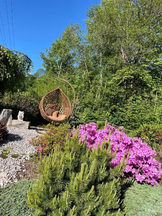 Vila Aja Svoboda nad Úpou Eksteriør bilde